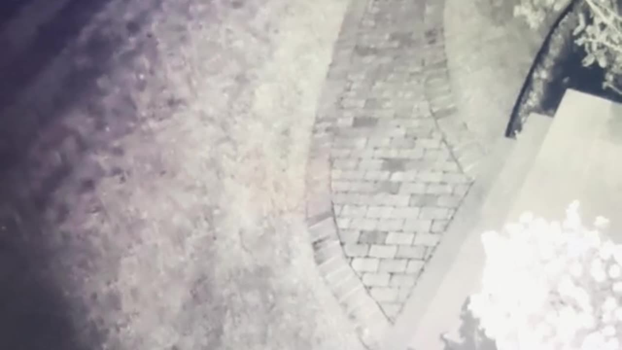 😨👻 What is This Entity That My Step Dad Caught on Our Security Camera? | TheHauntingHour