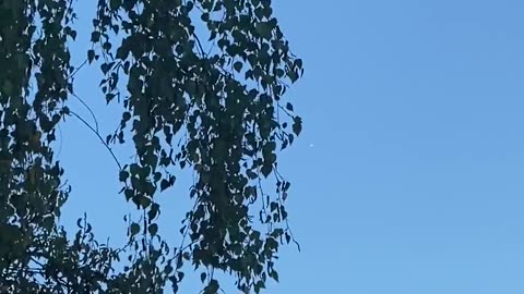🛸😱 Unidentified Object Over Vancouver - What Is This? | TheTruthAbove