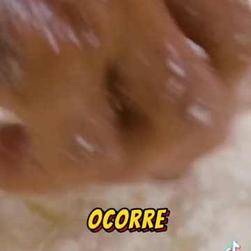 O Queijo mais perigoso do mundo