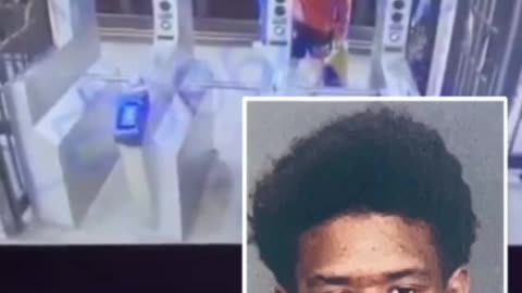 23-Year Old NYC Man Charged With the Random Pushing of A Subway Commuter At The 18th St Station