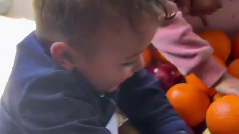 The joy of children in northern Gaza entering fruits