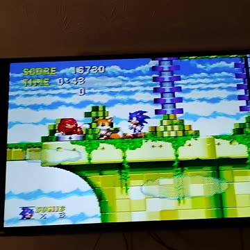 knuckles has a secret animation in sonic & knuckles