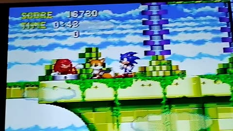 knuckles has a secret animation in sonic & knuckles