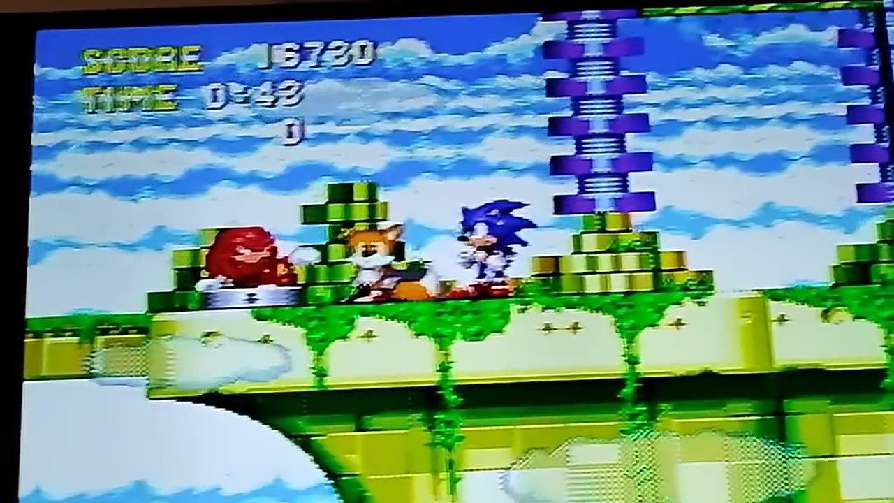 knuckles has a secret animation in sonic & knuckles