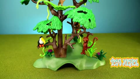 Monkey Play on Pine Tree and then Jump to Apple Tree
