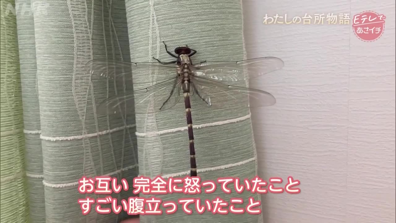 ETV あさイチ わたしの台所物語 40代女性 5人暮らしの台所