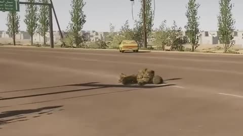 Flight Perspective 2