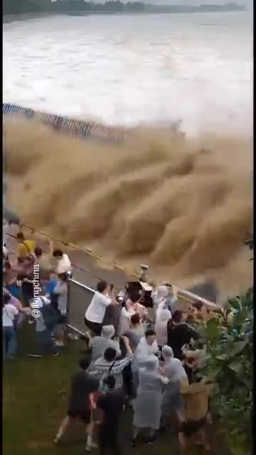 WOW XD hahahaha 3000 IQ DIFF