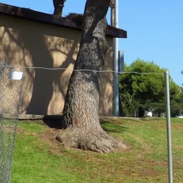 #SUN⚔️ Kieran Woolley