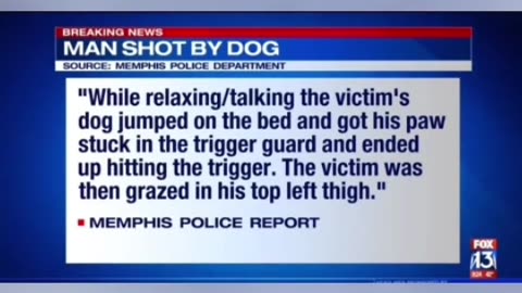 MAN CLAIMS HE WAS SHOT BY HIS DOG WHILE LYING IN BED