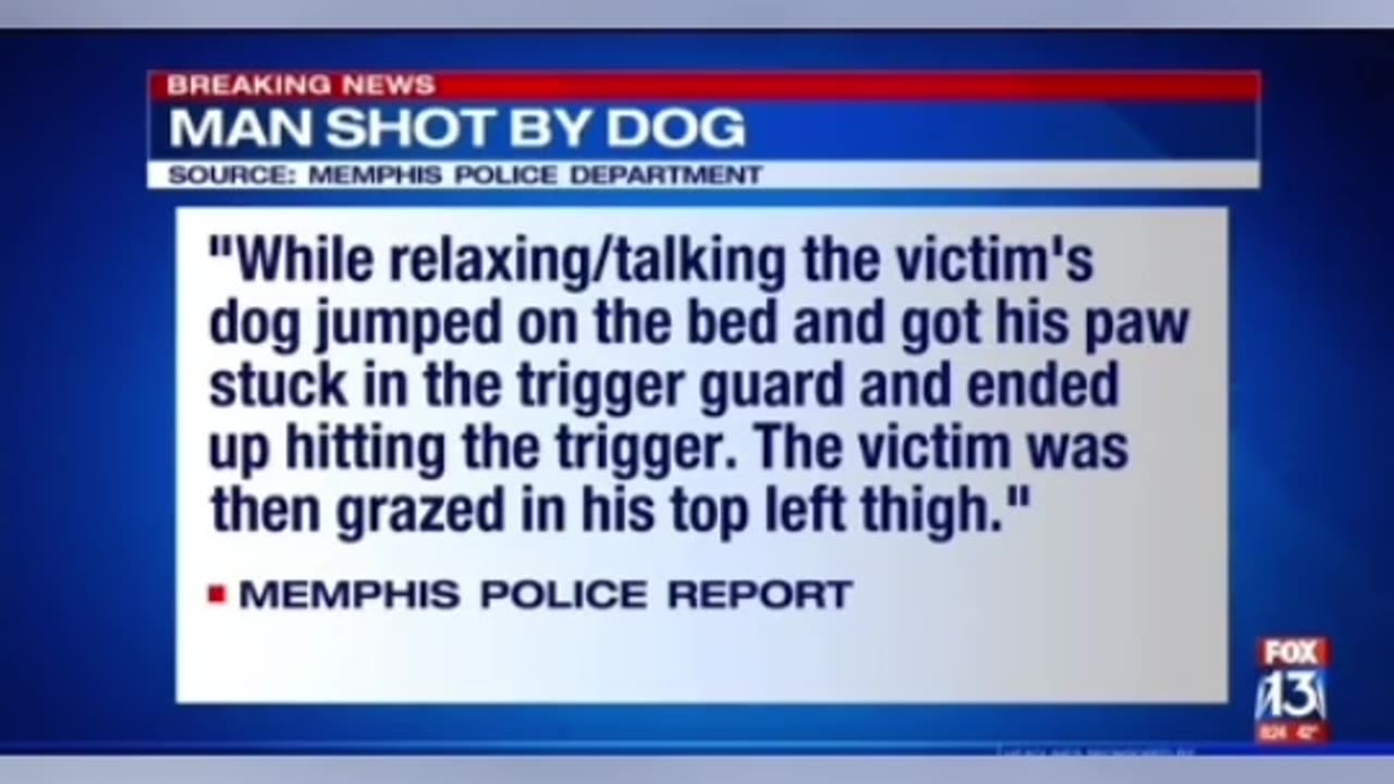 MAN CLAIMS HE WAS SHOT BY HIS DOG WHILE LYING IN BED