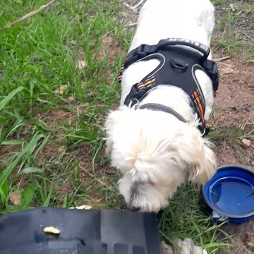 Decided to eat out today, 170km for lunch is a bit excessive though