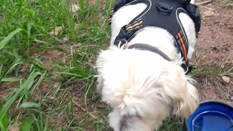 Decided to eat out today, 170km for lunch is a bit excessive though