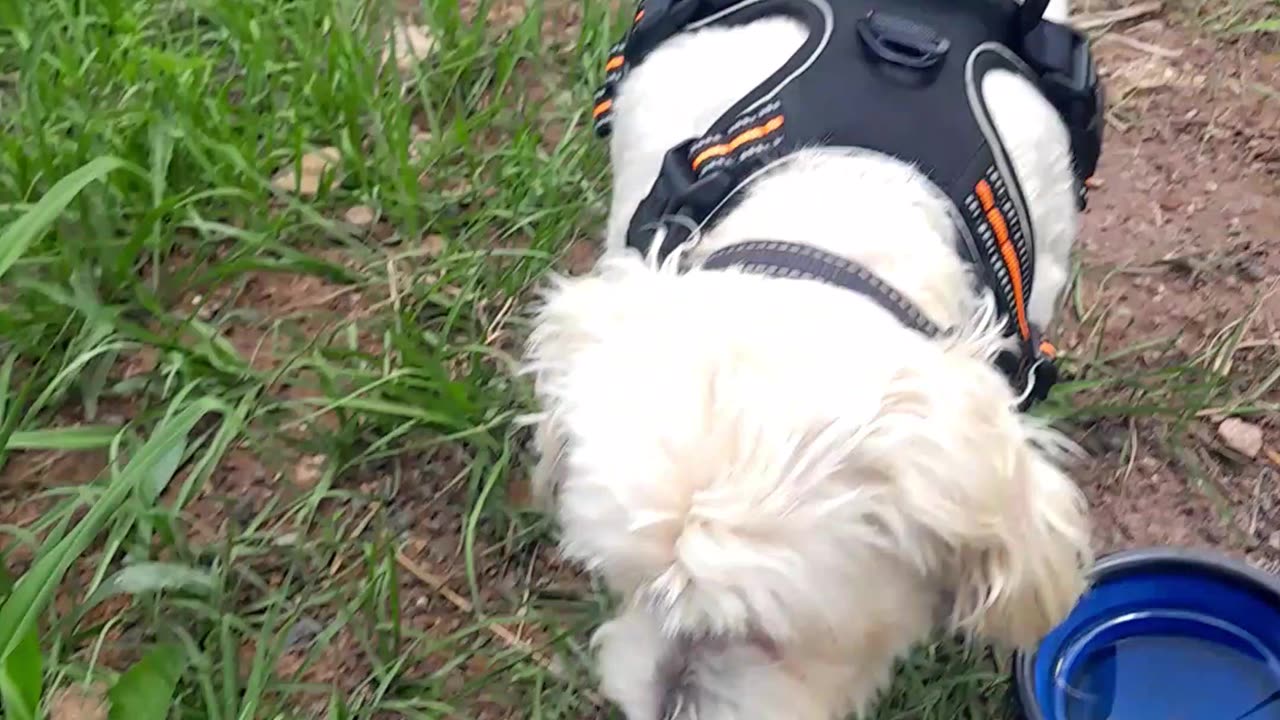 Decided to eat out today, 170km for lunch is a bit excessive though