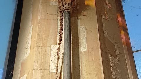 Angela Raynor wants to be your PM. A criminal prepared to destroy the lives of total strangers,