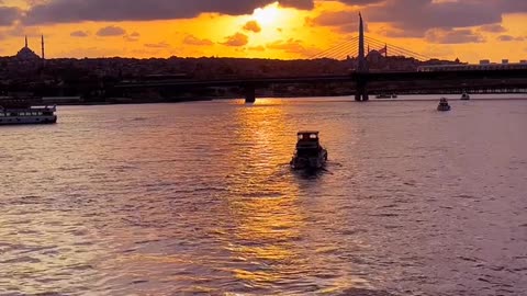 Daily Horoscope | Leo 🌟