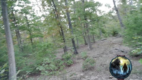 4 Sep 25 Walk in my woods
