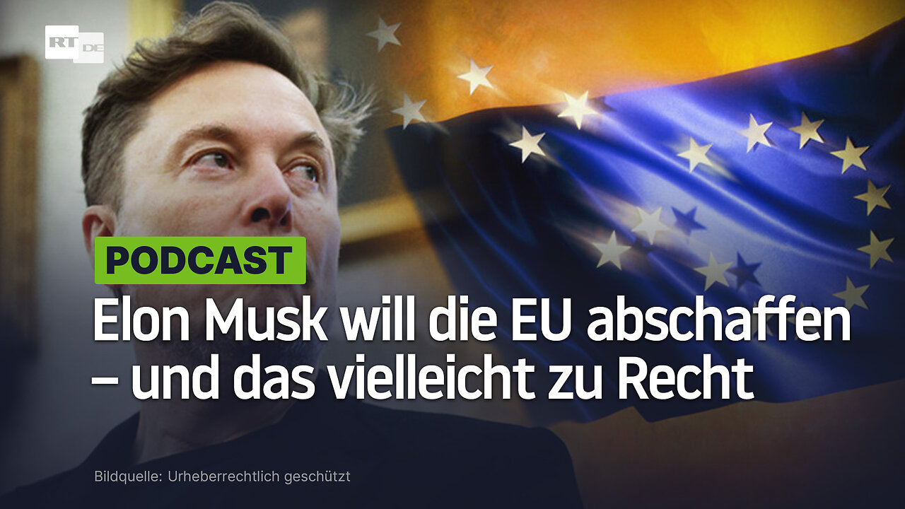 Elon Musk will die EU abschaffen – und das vielleicht zu Recht