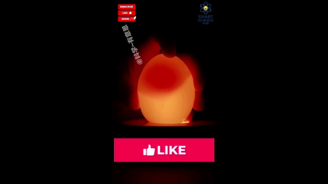 “Crazy Science Tricks You Won’t Believe! 🤯🧪”