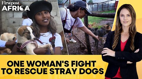 Ethiopian Woman Wants to Change the Way Society Perceives Dogs | Firstpost Africa