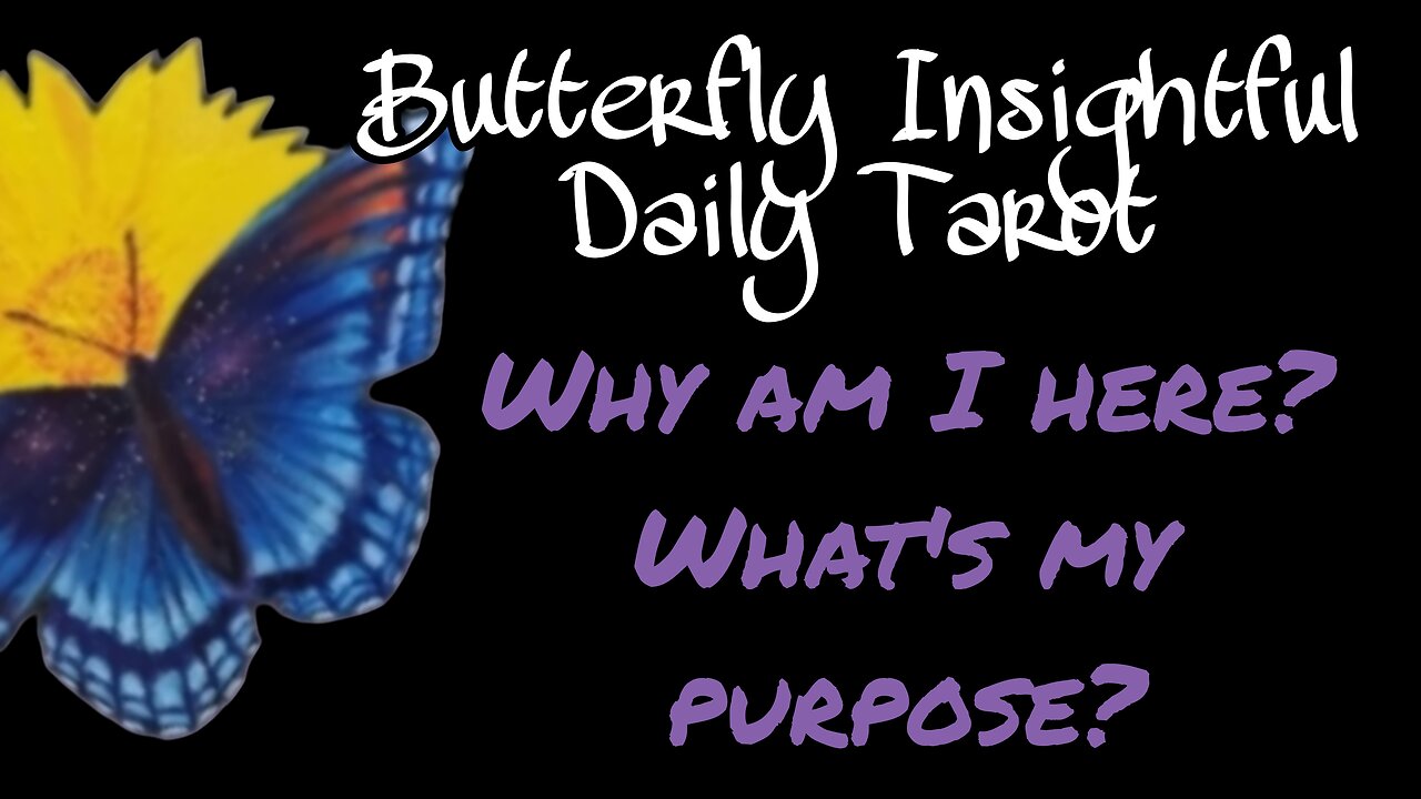 Butterfly Insightful Daily Tarot - why are you here? Let's try to find out!