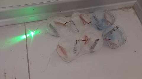 Electricity from salt water (diy saltwater battery)