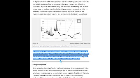 O polu elektromagnetycznym pobudzającym zarodniki pleśni i ich wpływie na Twoje zdrowie.