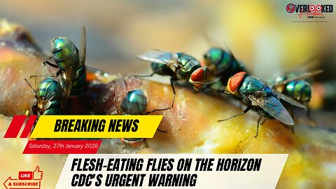 Flesh-Eating Flies on the Horizon: CDC's Urgent Warning