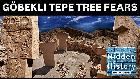 Göbekli Tepe trees being removed after online ‘cover up’ rumours and damage risk to ancient site