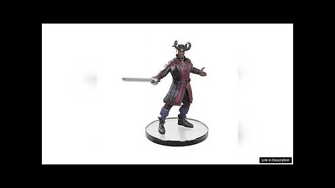 Dungeons & Dragons: Icons Of The Realms: Baldur's Gate 3: Characters (Box Review