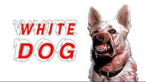 White Dog (1982) Full Movie