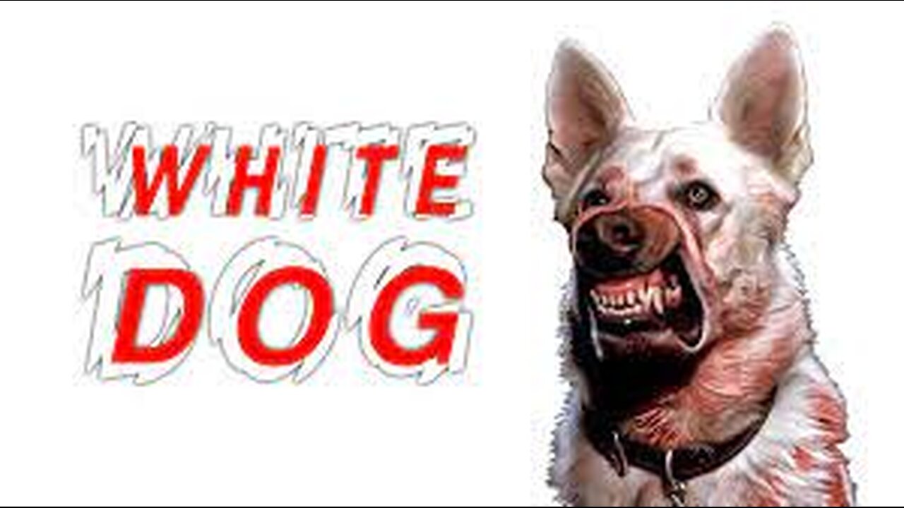 White Dog (1982) Full Movie