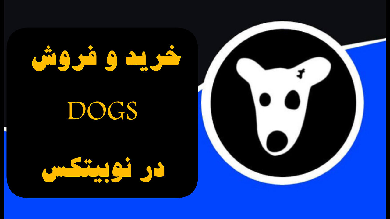 آموزش خرید و فروش داگز در صرافی نوبیتکس