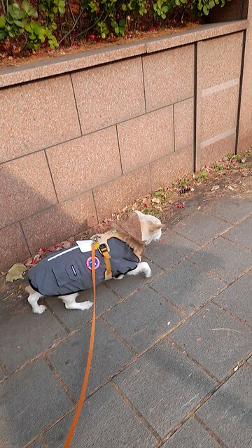 20251210. God loves me.