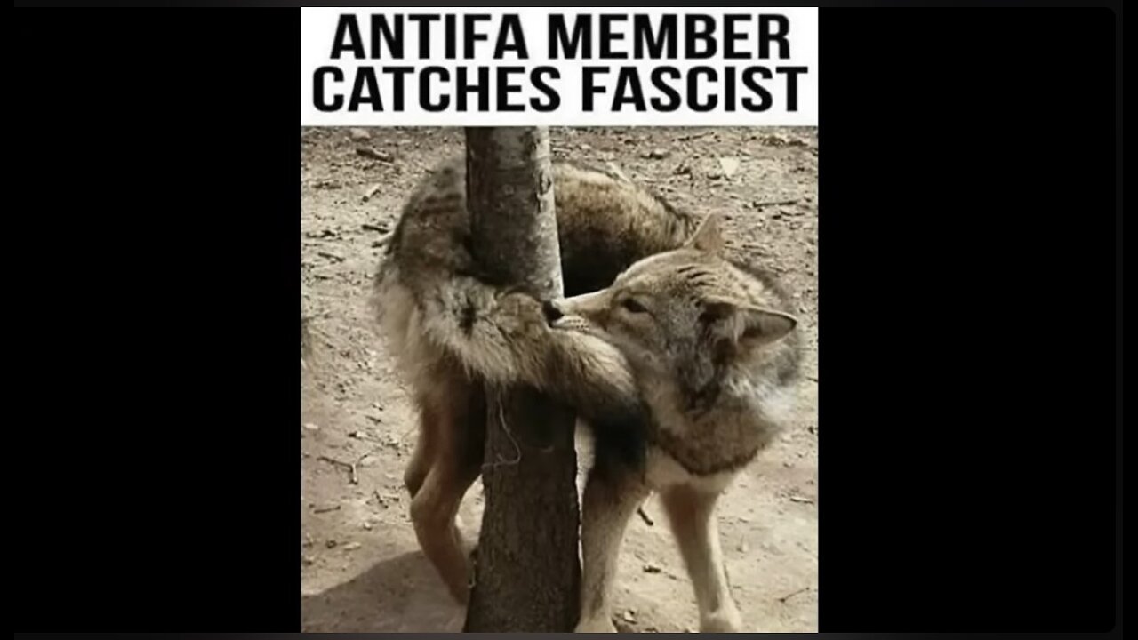 Terrorists should go to Gitmo.