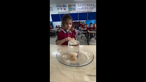 Kids in school play an interesting game