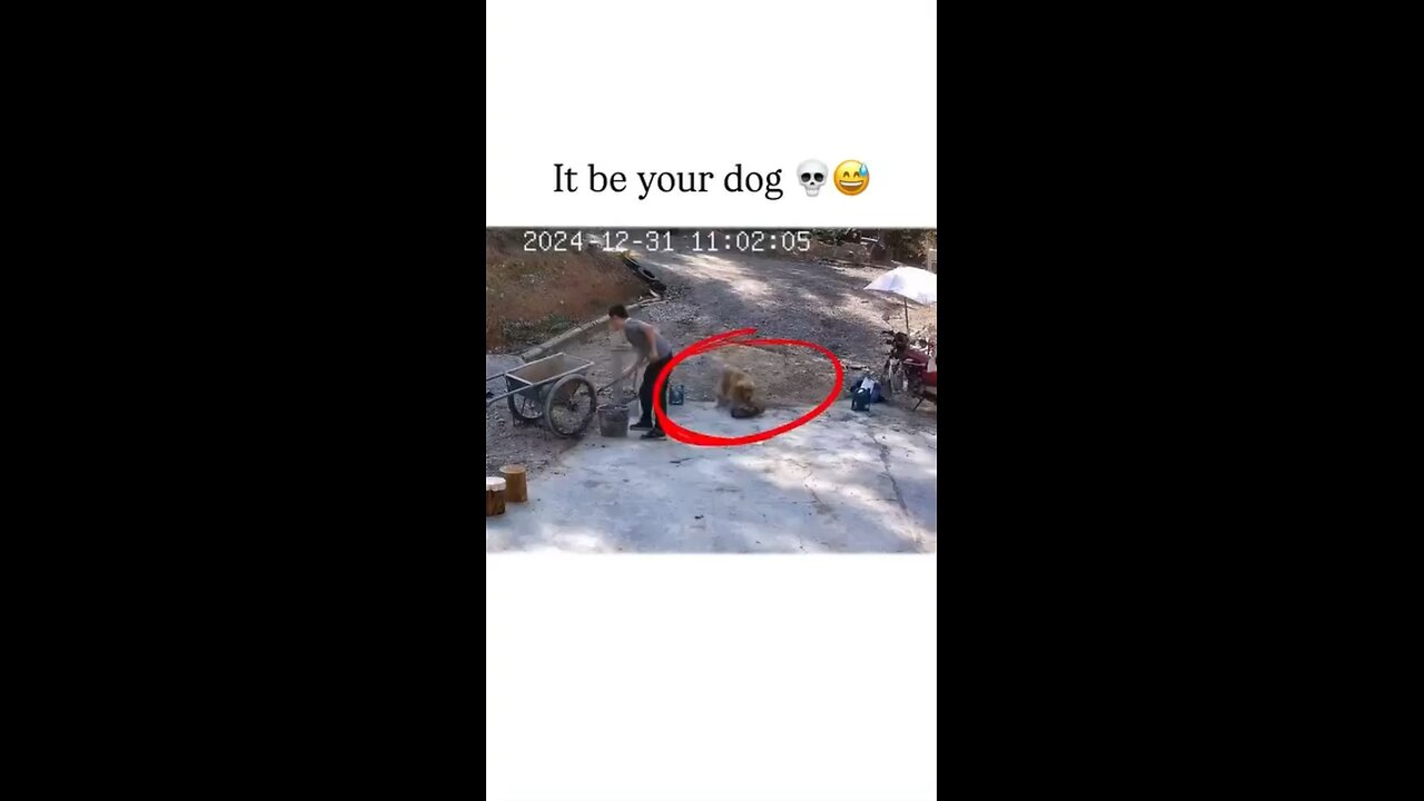 What can go wrong 😂