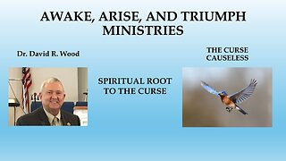 THE CURSE CAUSELESS - PART ONE