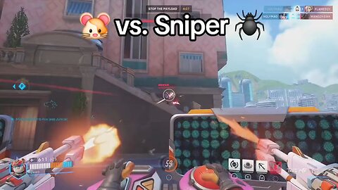 Hamster Vs Overwatch sniper