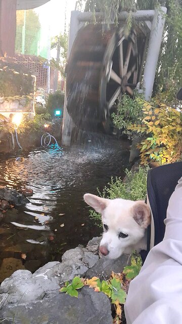 20251103. God Is Love.