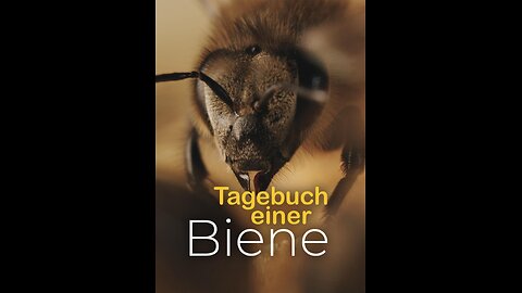 TAGEBUCH EINER BIENE (2021) 🐝