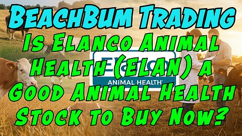 Is Elanco Animal Health (ELAN) a Good Animal Health Stock to Buy Now? | Quick Take