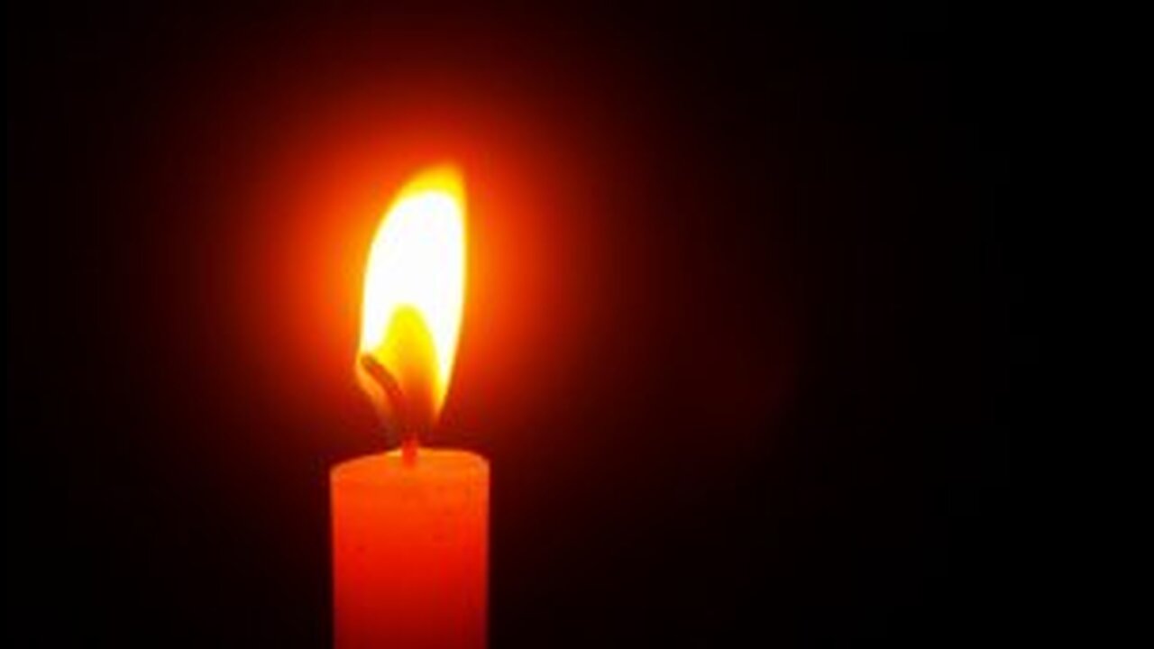 David the King - Melech Israel