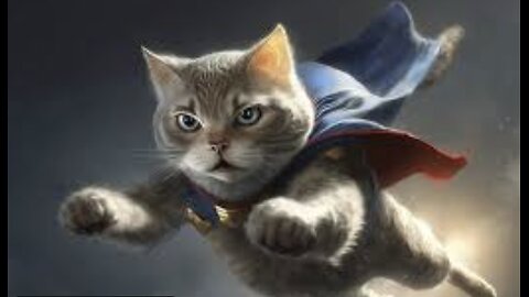 🌟 Welcome to the world of the cutest cats! 🐾 Part 16