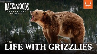 Life with Grizzlies
