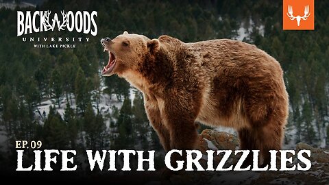 Life with Grizzlies