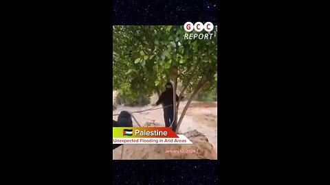 #Palestine #WestBank #Flooding #ExtremeWeather #climate #destruction #anomaly #climatecrisis