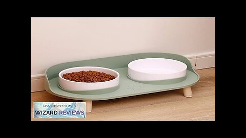 Cat Double Bowls Feeder Adjustable Height Pet Cats Drinker Water Bowl Elevated Review