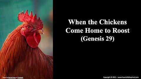 When the Chickens Come Home to Roost (Genesis 29) – Daily Bible study from www.HeartofAShepherd.com.