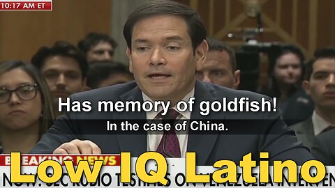 Low IQ Latino, Marco Rubio: "China stole Venezuelan oil"